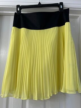 Pleated Yellow and Black Waistband Skirt